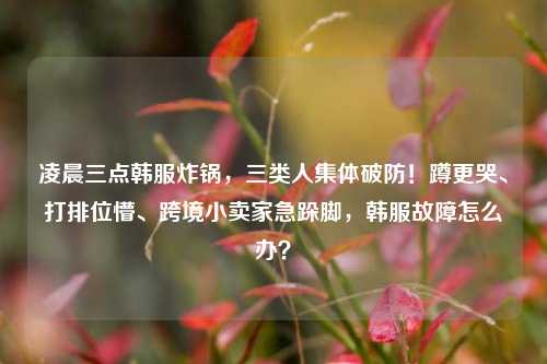 凌晨三点韩服炸锅，三类人集体破防！蹲更哭、打排位懵、跨境小卖家急跺脚，韩服故障怎么办？
