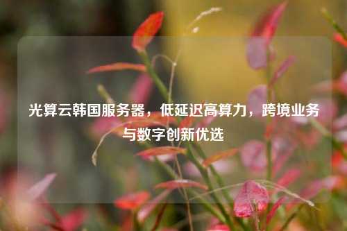 光算云韩国服务器,低延迟高算力,跨境业务与数字创新优选