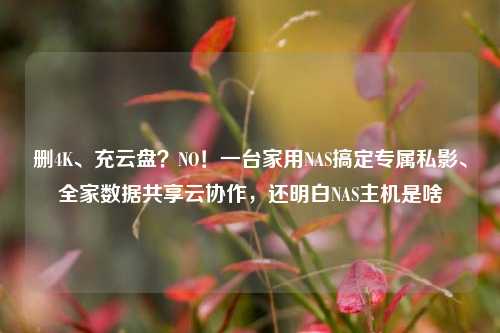 删4K、充云盘?NO!一台家用NAS搞定专属私影、全家数据共享云协作,还明白NAS主机是啥