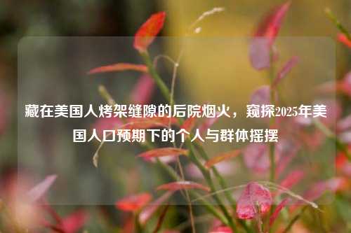 藏在美国人烤架缝隙的后院烟火,窥探2025年美国人口预期下的个人与群体摇摆