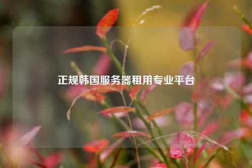 正规韩国服务器租用专业平台