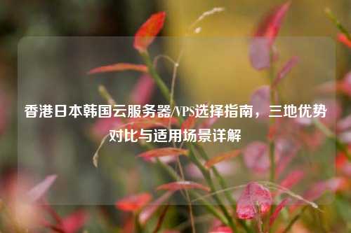 香港日本韩国云服务器/VPS选择指南，三地优势对比与适用场景详解