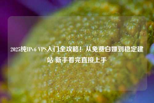 2025纯IPv6 VPS入门全攻略!从免费白嫖到稳定建站 新手看完直接上手