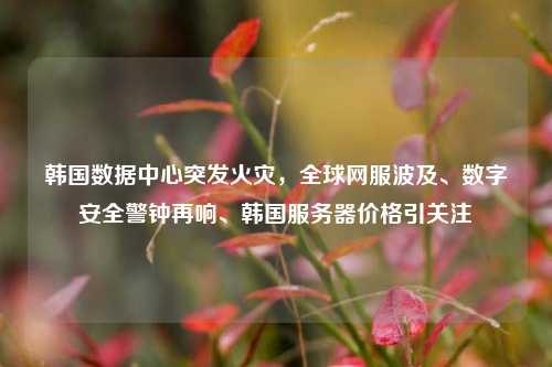 韩国数据中心突发火灾,全球网服波及、数字安全警钟再响、韩国服务器价格引关注