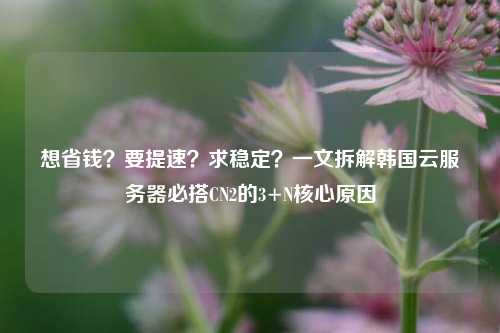想省钱?要提速?求稳定?一文拆解韩国云服务器必搭CN2的3+N核心原因