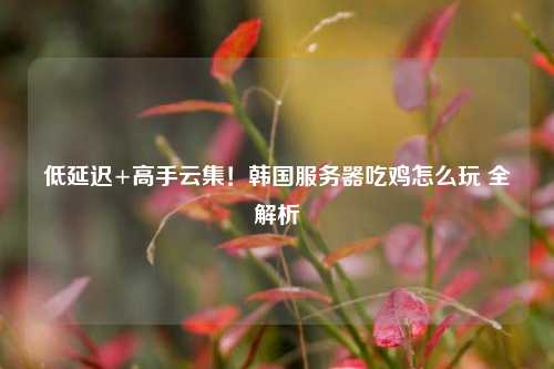 低延迟+高手云集!韩国服务器吃鸡怎么玩 全解析