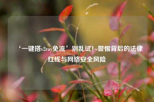 ‘一键搭v2ray免流’别乱试！警惕背后的法律红线与网络安全风险
