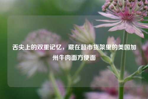舌尖上的双重记忆,藏在超市货架里的美国加州牛肉面方便面