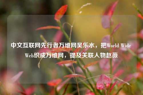 中文互联网先行者万维网吴乐水,把World Wide Web织成万维网,提及关联人物赵薇