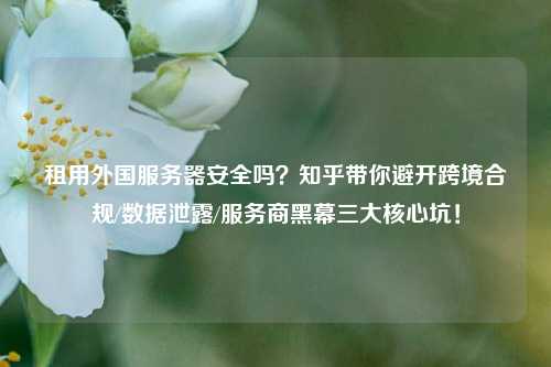 租用外国服务器安全吗？知乎带你避开跨境合规/数据泄露/服务商黑幕三大核心坑！