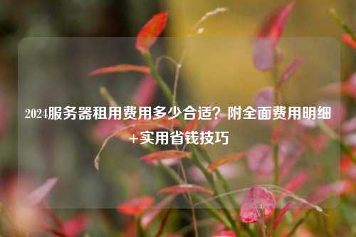 2024服务器租用费用多少合适？附全面费用明细+实用省钱技巧