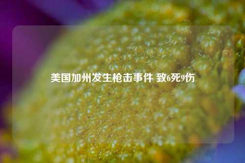 美国加州发生枪击事件 致6死9伤