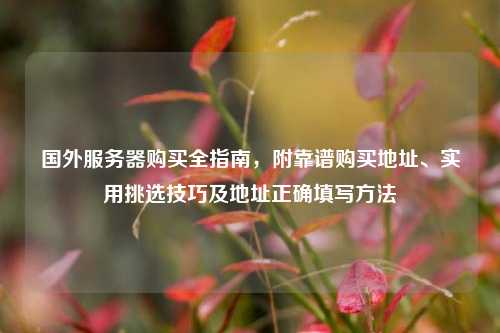国外服务器购买全指南,附靠谱购买地址、实用挑选技巧及地址正确填写方法