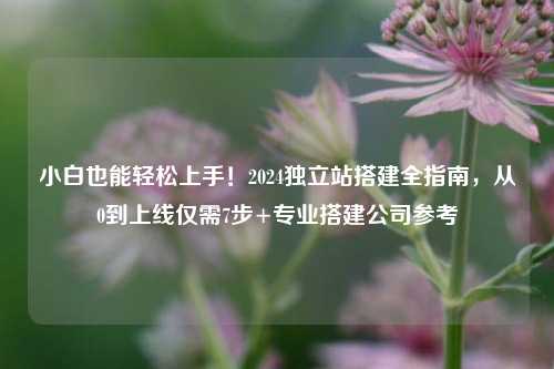 小白也能轻松上手!2024独立站搭建全指南,从0到上线仅需7步+专业搭建公司参考