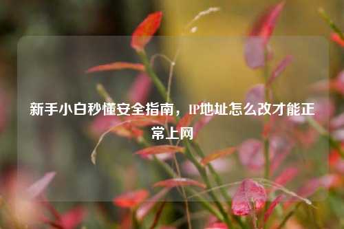新手小白秒懂安全指南,IP地址怎么改才能正常上网