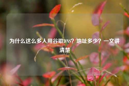为什么这么多人用谷歌DNS？地址多少？一文讲清楚