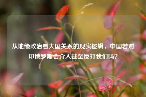 从地缘政治看大国关系的现实逻辑，中国若对印俄罗斯会介入甚至反打我们吗？