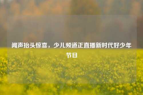 闻声抬头惊喜，少儿频道正直播新时代好少年节目