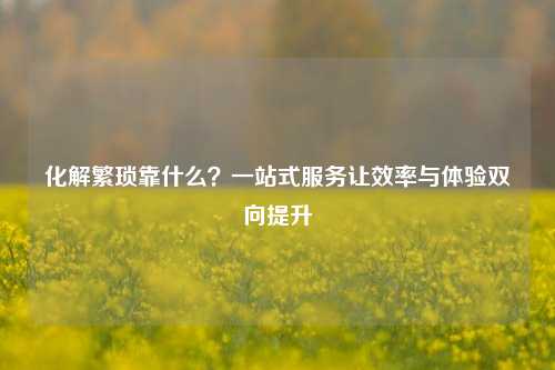 化解繁琐靠什么？一站式服务让效率与体验双向提升