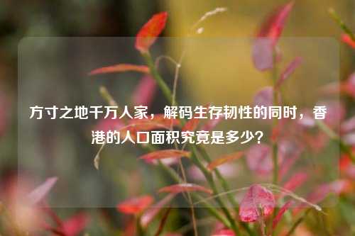 方寸之地千万人家,解码生存韧性的同时,香港的人口面积究竟是多少?