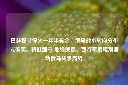 巴赫穆特停火一年半有余,俄乌战术转向分布式破袭、精准固守 地缘威慑、西方军援暗潮涌动俄乌战争局势