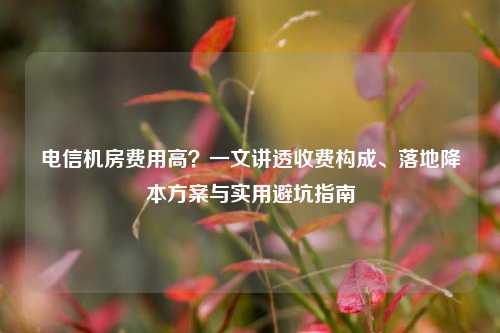 电信机房费用高?一文讲透收费构成、落地降本方案与实用避坑指南