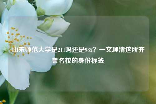 山东师范大学是211吗还是985?一文理清这所齐鲁名校的身份标签
