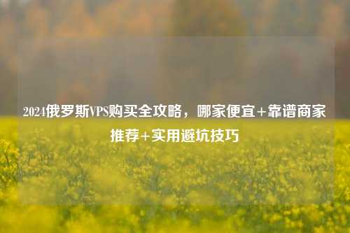 2024俄罗斯VPS购买全攻略，哪家便宜+靠谱商家推荐+实用避坑技巧