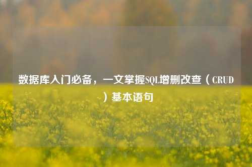 数据库入门必备,一文掌握SQL增删改查(CRUD)基本语句