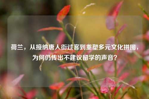 荷兰，从接纳唐人街过客到重塑多元文化拼图，为何仍传出不建议留学的声音？