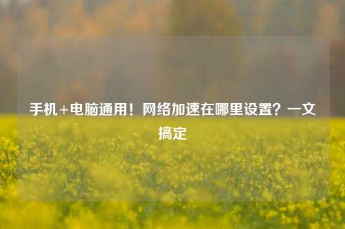 手机+电脑通用!网络加速在哪里设置?一文搞定
