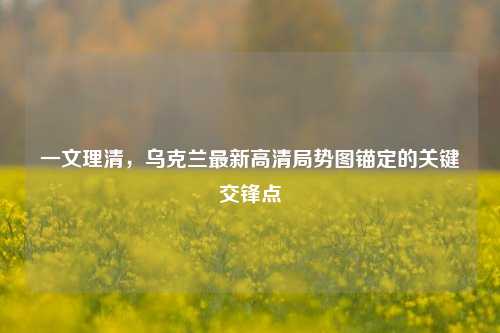 一文理清，乌克兰最新高清局势图锚定的关键交锋点