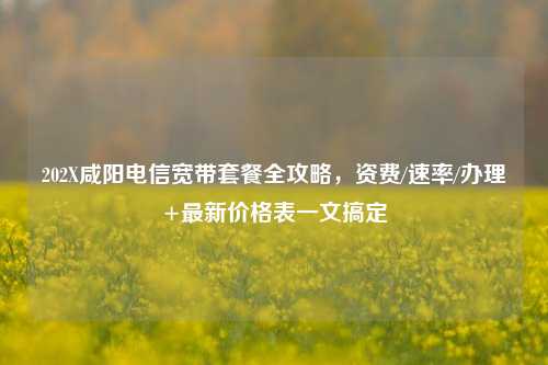 202X咸阳电信宽带套餐全攻略，资费/速率/办理+最新价格表一文搞定