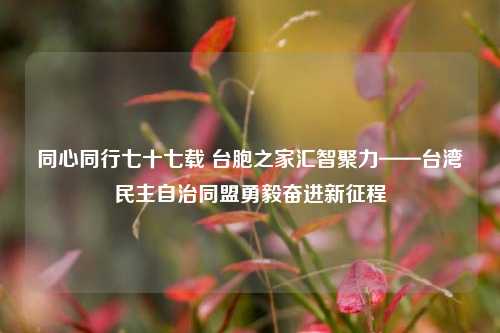 同心同行七十七载 台胞之家汇智聚力——台湾民主自治同盟勇毅奋进新征程