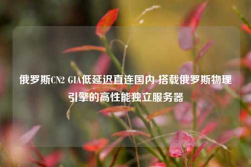 俄罗斯CN2 GIA低延迟直连国内 搭载俄罗斯物理引擎的高性能独立服务器