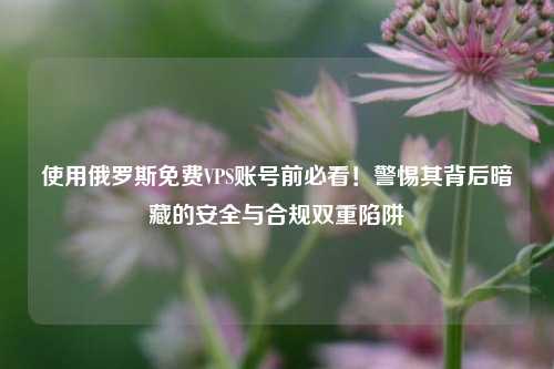 使用俄罗斯免费VPS账号前必看！警惕其背后暗藏的安全与合规双重陷阱