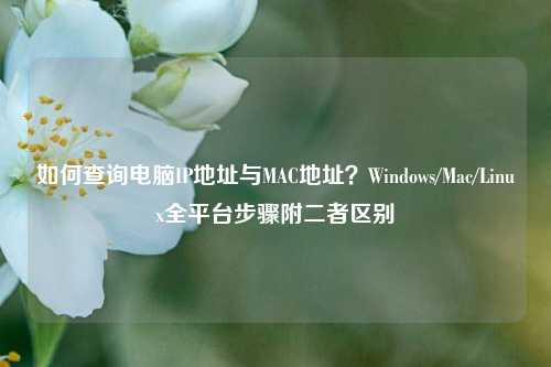 如何查询电脑IP地址与MAC地址？Windows/Mac/Linux全平台步骤附二者区别