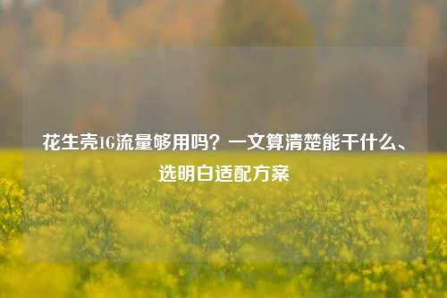 花生壳1G流量够用吗？一文算清楚能干什么、选明白适配方案