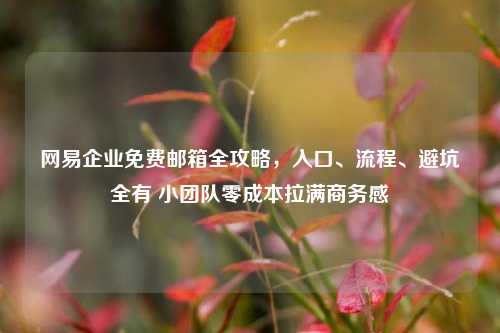 网易企业免费邮箱全攻略，入口、流程、避坑全有 小团队零成本拉满商务感