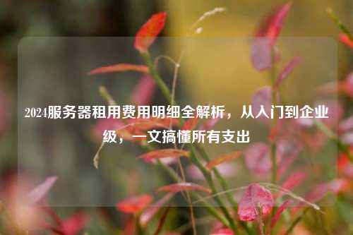 2024服务器租用费用明细全解析,从入门到企业级,一文搞懂所有支出