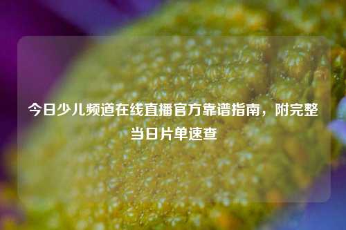 今日少儿频道在线直播官方靠谱指南，附完整当日片单速查