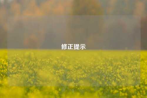 修正提示