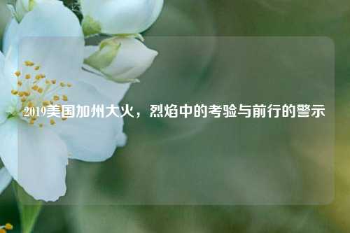 2019美国加州大火,烈焰中的考验与前行的警示