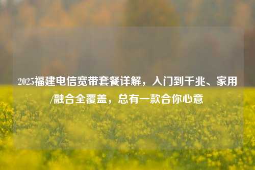 2025福建电信宽带套餐详解，入门到千兆、家用/融合全覆盖，总有一款合你心意