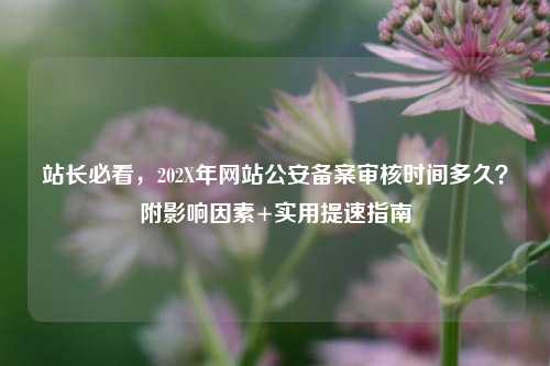站长必看，202X年网站公安备案审核时间多久？附影响因素+实用提速指南