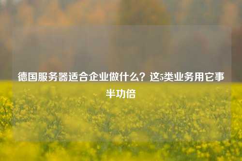 德国服务器适合企业做什么？这5类业务用它事半功倍