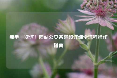 新手一次过！网站公安备案超详细全流程操作指南