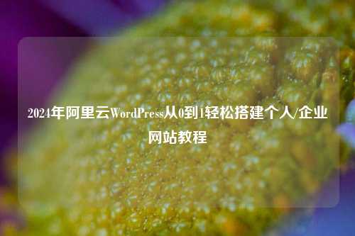2024年阿里云WordPress从0到1轻松搭建个人/企业网站教程