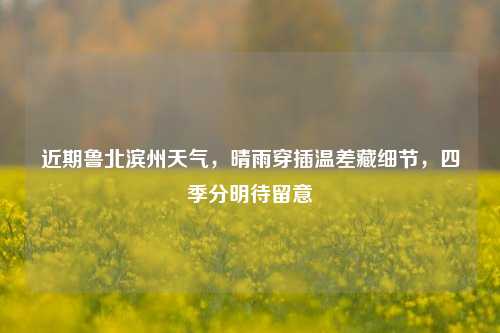 近期鲁北滨州天气,晴雨穿插温差藏细节,四季分明待留意