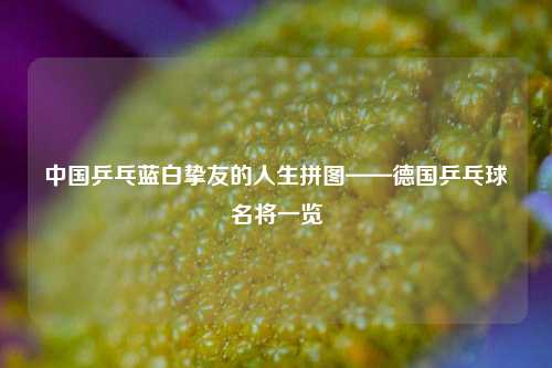 中国乒乓蓝白挚友的人生拼图——德国乒乓球名将一览